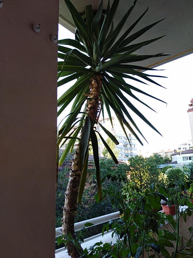 Apartamento Principe Caces Exterior foto